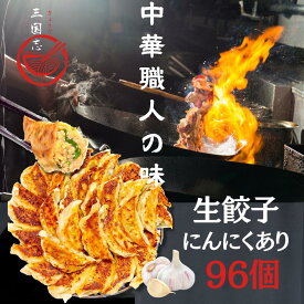 96個入り にんにくあり 餃子48個×2袋 中華職人の味 スタミナ 買いお得 送料無料 中華点心 ジャンボ サイズ 肉餃子 おつまみ おかず 手軽い 冷凍食品 ぎょうざ ギョウザ ギョーザ 焼き餃子 時短料理 国産 贈答品 ギフト贈り物母の日