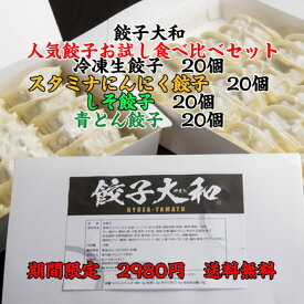 餃子大和 人気餃子 4種 食べ比べセット 各20個入×4 合計80個