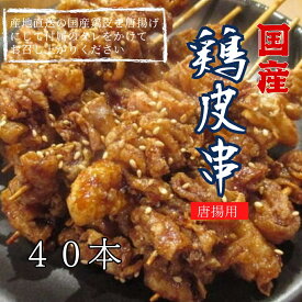 専用タレ付 冷凍 国産 鶏皮串 40本 (20本×2P) 唐揚げ用