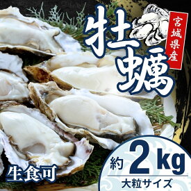 【生食可】宮城県産 三陸産 殻付き牡蠣 2kg 冷凍 生食可 海のミルク 濃厚クリーミー 国産 送料無料※北海道・沖縄除く