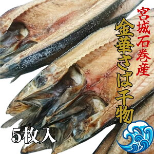 {閼Y ؂ ؃To J 25cm 5 ITCY 蔲Q т̂ɁI Ⓚ Zbg Mtgɂ
