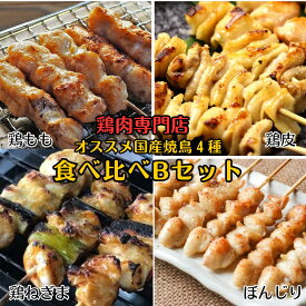【焼鳥 食べ比べB 20本セット 岩塩付】国産 鶏肉専門店のこだわり串4種セット［冷凍便］もも・皮・ぼんじり・鶏ねぎま 各5本 バーベキュー BBQ おつまみ ギフト にも◎ 焼き鳥セット 家飲み 宅飲み お取り寄せグルメ タレ無