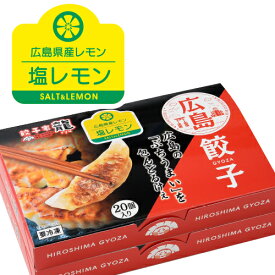 ひろしま塩レモン餃子(20個入り×2箱)