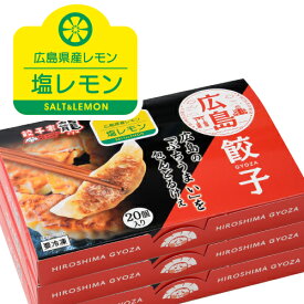 ひろしま塩レモン餃子(20個入り×3箱)