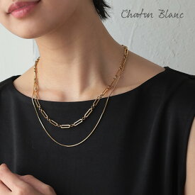 ステンレス2連チェーンネックレス 316Lステンレス レディース 送料無料 金属アレルギー 金アレ シンプル ゴールド シルバー アクセサリー プレゼント 華奢 ギフト 女性 ≪ゆうメール便配送05・代引不可≫