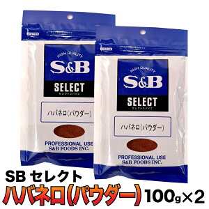 X[p[SALEXő30OFF SB ZNg u nolpE_[ v 200g (100g×2) h hq e XpCX S&B nol pE_[ GXr[Hi SBHi Ɩp  h JC [ 