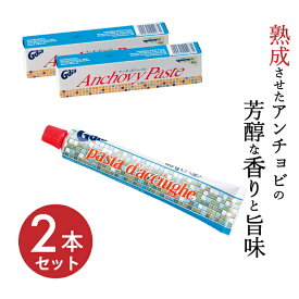 アンチョビ ペースト 調味料 60g×2本 フォルメック 熟成 チューブ式 業務用 ソース 常温 イタリア産 ガイア 料理 「アンチョビペースト」 JC メール便 送料無料