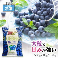 「 冷凍ブルーベリー 」 ノースイ VeryBerry 大容量 ブルーベリー 業務用 ［ 1袋:500g / 2袋:1kg / 3袋:1…