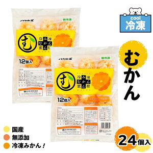 }\EXő唼z _Y݂100%^  Ⓚނ ނ ݂ 12/ m1/2܁n Ⓚ݂ ނ Y  Ⓚt[c _CGbg Ⓚ Oނ XC