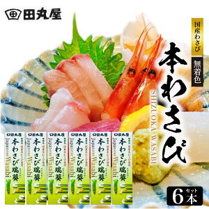 XAEgbgJÒ cۉ {킳  ݂ 42g mIׂZbg 3{`6{n Zbg F É Y Y   Tr R 킳 wasabi `[u hV̓