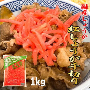 XAEgbgZ[Iő唼z u g傤 v YI g傤؂ 1kg Y gI Ɩp g؂ Е  cMvX SI 