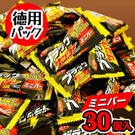 ★初売りSALE・クーポン配布中★ ブラックサンダー ミニバー 30個 ユーラク チョコ 有楽製菓 スイーツ chocolate 駄菓子 個包装 子供 シェア おやつ 大量 徳用 バレンタイン ばらまき「 ブラックサンダー30」 JC メール便 送料無料
