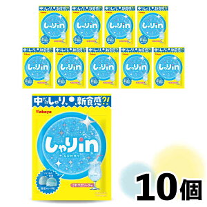 ubNtCf[EN[|ՊJÒ inO~ ₩\[_ 52g×10_Zbg \[_ 肵H ܂Ƃߔ  ԐH ItBX |Pbgَq  XC[c p 