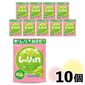 ubNtCf[EN[|ՊJÒ inO~ }XJbg\[_ 52g×10_Zbg }XJbg Ԃǂ 肵H ܂Ƃߔ  ԐH ItBX |Pbgَq  X