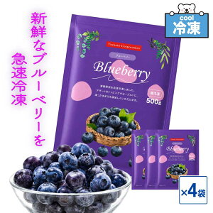 ��365���E���������� �Ⓚ�u���[�x���[ �g�}�g�R�[�|���[�V���� BL-1 �؃��[�Y ��e�� �u���[�x���[ �X���[�W�[ �m�I�ׂ�� 1��:500g�`4��:2kg �n �Ⓚ�t���[�c �X�C�[�c �ʕ� �u�Ⓚ �u���[�x��