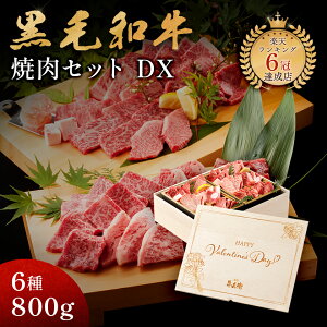 o^C v[g AMtg јa o^C ēZbg yјaēfbNX 800giēZbg×2jz ̓ v[g ؔ Mtg 蕨 Y 100 