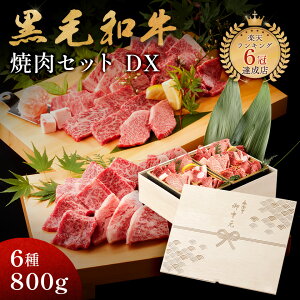  Mtg AMtg јa ēZbg yјaēfbNX 800giēZbg×2jz ؔ Mtg 蕨 Y 100  ȒP ēq