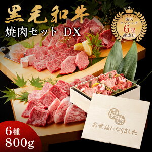 bɂȂ܂ Mtg AMtg јa ēZbg yјaēfbNX 800giēZbg×2jz ؔ ސEj җj Mtg 蕨 Y 100  ȒP