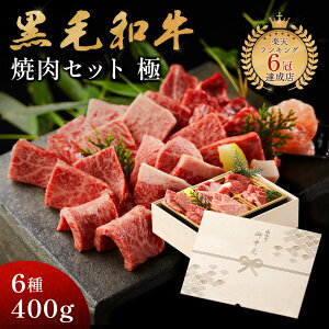  Mtg AMtg јa ēZbg y  z Mtg Hו v[g Hו 蕨  Y 6 400g ؔ ē  \|_ AfX≖ ≖ lCj[