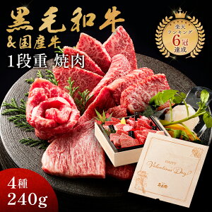 o^C ÂȂ Mtg AMtg јa Y 4 1id ēZbg 240g ؔ v[g  Y A4 A5  ē   lCj[ X̖ a S 