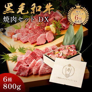 j AMtg j јa ēZbg yјaēfbNX 800giēZbg×2jz ؔ v[g Mtg 蕨 Y 100  ȒP ēq