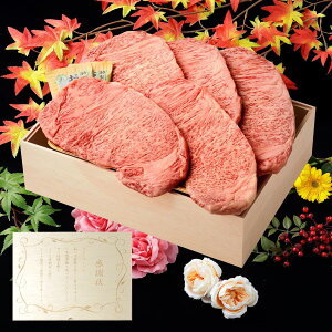 ӏ A Mtg lΉ јa Xe[L Zbg 5 i 875g j ؔ ސEj Xe[LZbg T[C \|_ ≖ AfX≖ lCj[ X̖ Ya