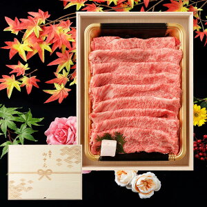  Mtg AMtg јa Ă  600g ؔ e v[g Ă Mtg [X 蕨 Y 100 ȒP  ēq