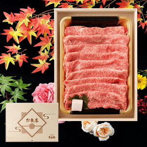 Ε AMtg јa Ă  600g ؔ e v[g Ă Mtg [X 蕨 Y 100 ȒP  ēq