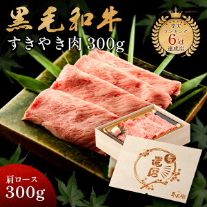 җj AMtg јa Ă  300g ؔ Ă Mtg [X 蕨 Y 100 ȒP  ēq