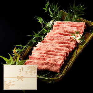  Mtg AMtg јa Ă  800g ؔ e v[g Ă Mtg [X 蕨 Y 100 ȒP  ēq