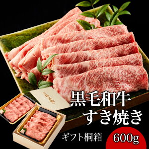 Mtg  lΉ w јa Ă  600g ؔ  Ă ̓ v[g Mtg [X 蕨 Y 100  ȒP ēqyz hV̓ 