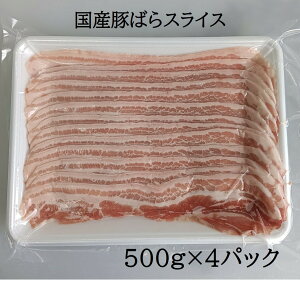 Y؃o@2mmXCX v2kgi500g×4܁jؓXCX Y Ⓚ ۑ@ ^ ؂炢 Ɩp 2kg
