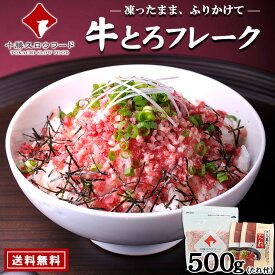 牛とろフレーク(R)500g袋入り（たれ付き） 業務用 ※沖縄・離島は別途追加送料あり 北海道産牛