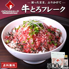 【送料無料】牛とろフレーク(R)500g袋入り（たれ付き） 業務用 ※沖縄・離島は別途追加送料あり 北海道産牛 十勝スロウフード