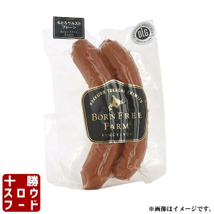 Ƃ냔Xg v[ 120g r[t ECi[ \[Z[W kCY    Ε 蕨 Mtg yY O kC \XEt[h