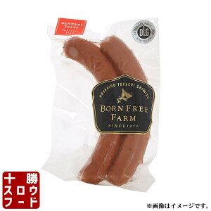 Ƃ냔Xg ~jg}g 120g r[t ECi[ \[Z[W kCY    Ε 蕨 Mtg yY O kC \XEt[h