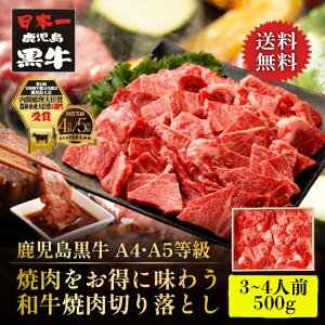 yz  a A4 A5 N ō  ē ؂藎Ƃ 500g Mtg  v[g Ε  ̂Ή o[xL[ AEghA ƒp ̓ ̓ hV̓ NX