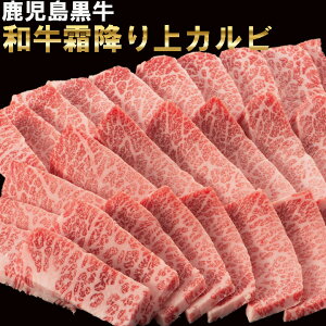 јa  A4 A5 a ō Jr 500g  ē BBQ AEghA p[eB[ sy Cxg SĂ ̂Ή Mtg p v[g  Ε