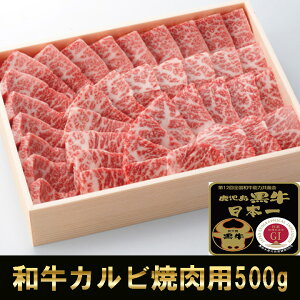 LO1ʋLO јa  A4 A5 a ō Jr 500g ē BBQ AEghA p[eB[ sy Cxg SĂ ̂Ή Mtg p v[g  Ε