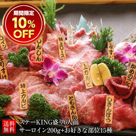 クーポンで10％OFF ★ 焼肉セット サーロインステーキ ステーKING盛り 6人前 1.1Kg (200g+60g×15種) 黒毛和牛 冷凍 赤身 霜降り 国産 和牛 メス牛 A4 A5 ランク 肉 希少部位 ギフト グルメ 誕生日プレゼント 内祝い 出産祝い 結婚祝い 乙川畜産食品乙ちゃん敬老の日