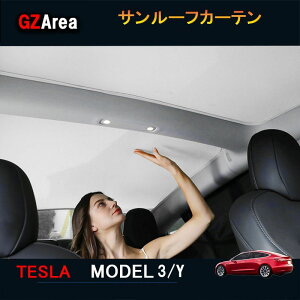GZArea eX f3 Tesla model3 p[c ANZT[ JX^ T[tJ[e T[t悯 TSL107