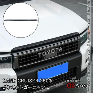 GZArea hN[U[ 250 N250 {lbgK[jbV O JX^ p[c ANZT[ FB210