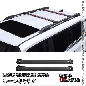 GZArea hN[U[ 250 N250 NTXGX550 [tLA O JX^ p[c ANZT[ FB224