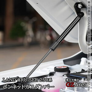 GZArea hN[U[ 250 N250 {lbgKX_p[ O JX^ p[c ANZT[ FB227