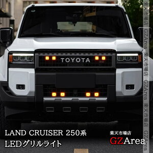 hN[U[ 250 N250 LEDOCg LEDtgCg O JX^ p[c ANZT[ FB307