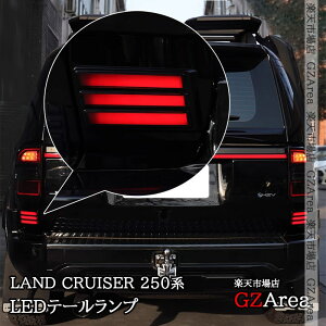 GZArea hN[U[ 250 N250  LED e[v u[L V[PVEBJ[ O JX^ p[c ANZT[ FB312