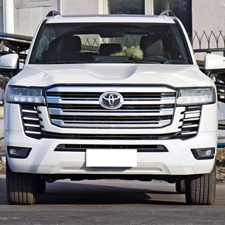 楽天市場】トヨタ ランドクルーザー300 ランクル300 グリルLEDデイ 