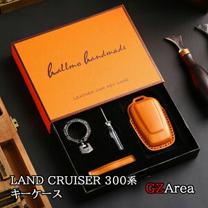 GZArea g^ hN[U[300 250 N300 250 LC250 X}[gL[Jo[ L[P[X JX^ p[c ANZT[ FL273