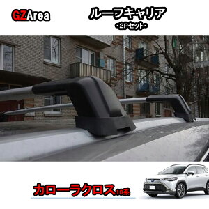 GZArea V^J[NX J[NX10n ANZT[ JX^ [tLA TCC016
