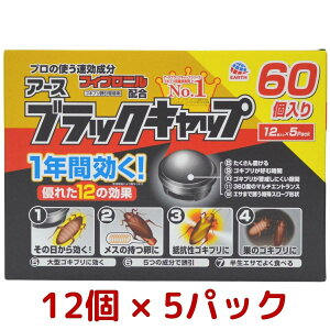 �A�[�X���� �u���b�N�L���b�v 60���� 1�N�� ���� ���� �S�L�u�� �ގ� ��R�� ���X �� ���� �ݒu�^ ������ �A�[�X ���S�݌v �E���� �� �a�� �R�X�g�R Costco